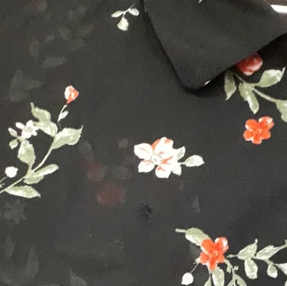 🍁 sheer shirt - Picture 4 of 6